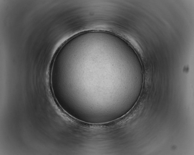 X0000100500944200806201712