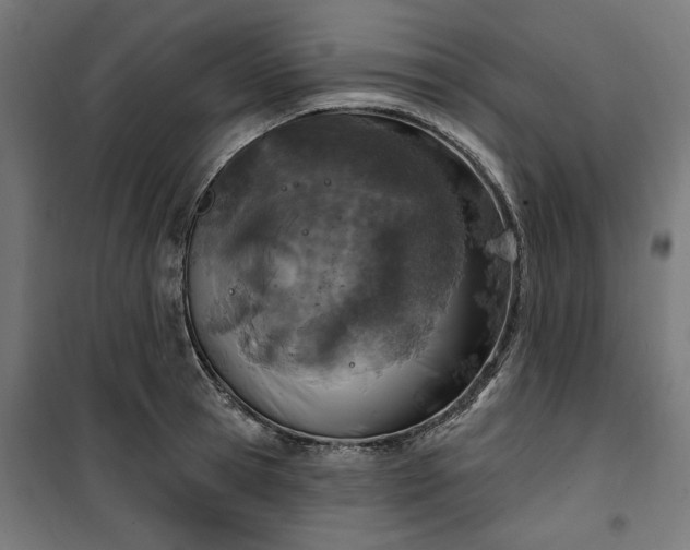 X0000100500945200806201712