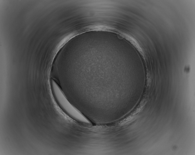 X0000100500946200806201712