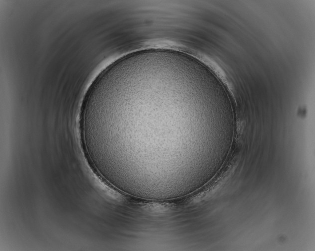 X0000100500947200806201712