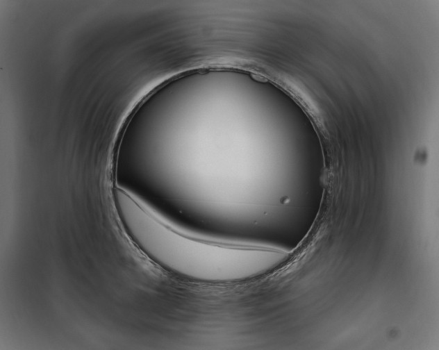 X0000100500948200806201712