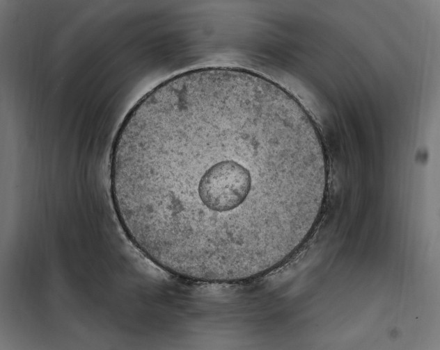 X0000100500950200806201712