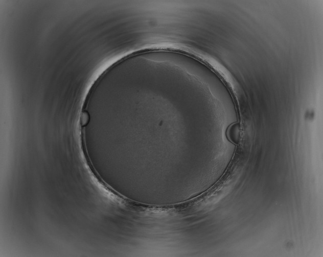 X0000100500951200806201712