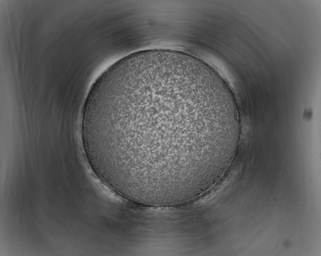 X0000100500952200806201712