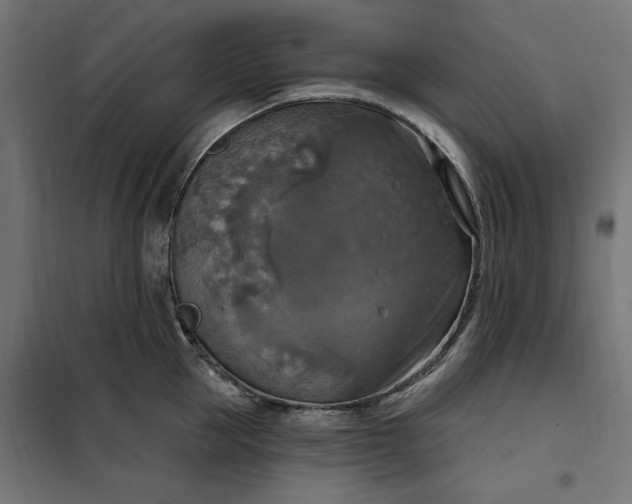 X0000100500953200806201712