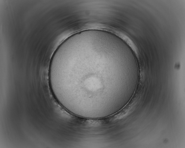 X0000100500954200806201712