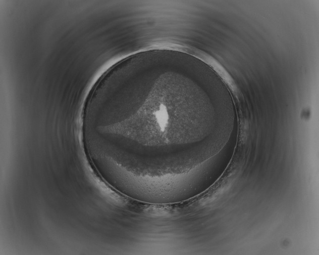 X0000100500955200806201712