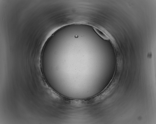 X0000100500956200806201712