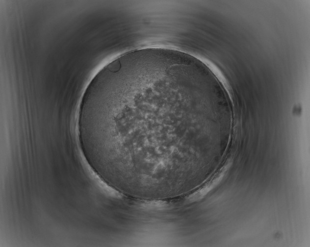 X0000100500957200806201712