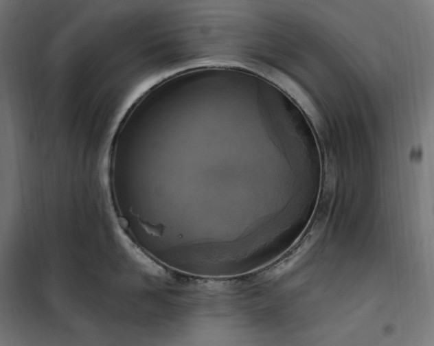 X0000100500958200806201712