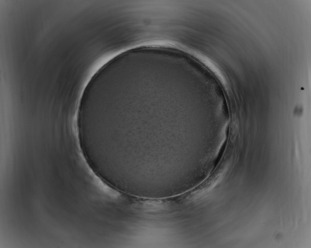 X0000100500959200806201712