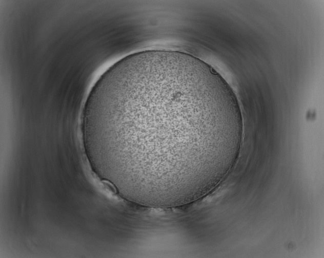 X0000100500960200806201712