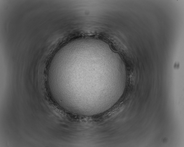 X0000100500961200806201711