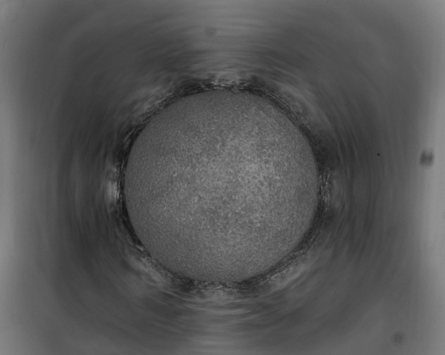 X0000100500962200806201711