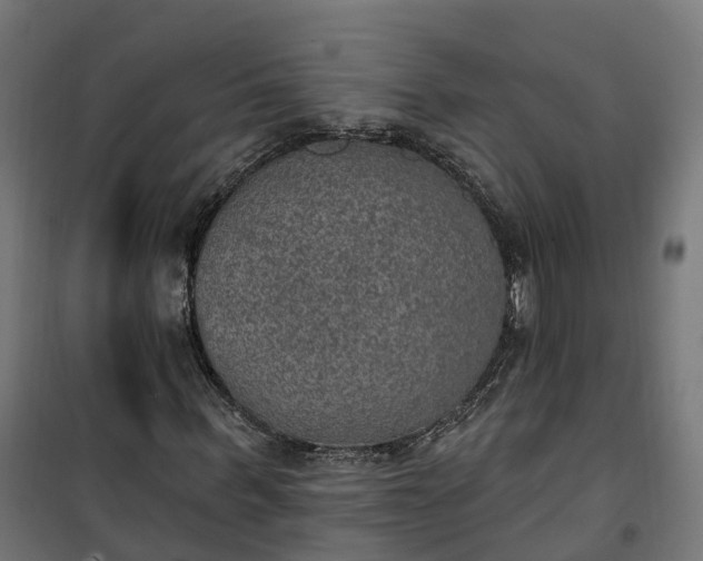 X0000100500963200806201711