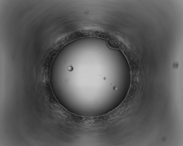 X0000100500965200806201711