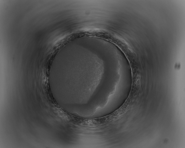 X0000100500966200806201711