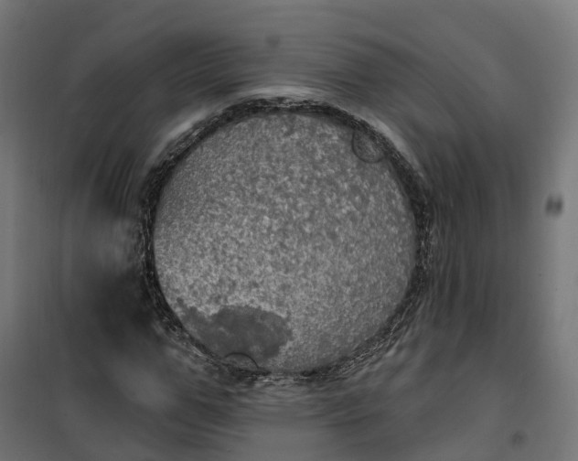 X0000100500967200806201711