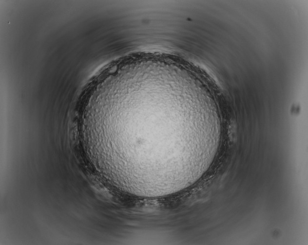 X0000100500968200806201711