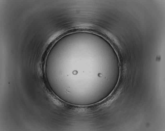 X0000100500970200806201711