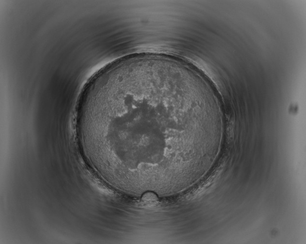 X0000100500971200806201711