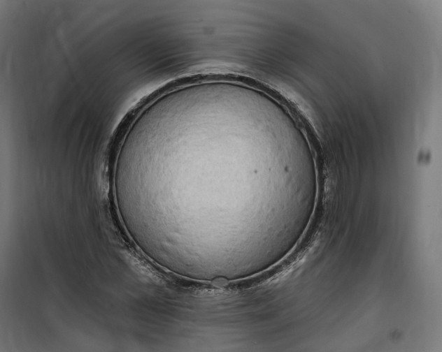 X0000100500973200806201711