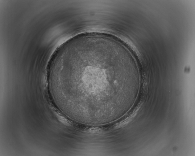 X0000100500974200806201711