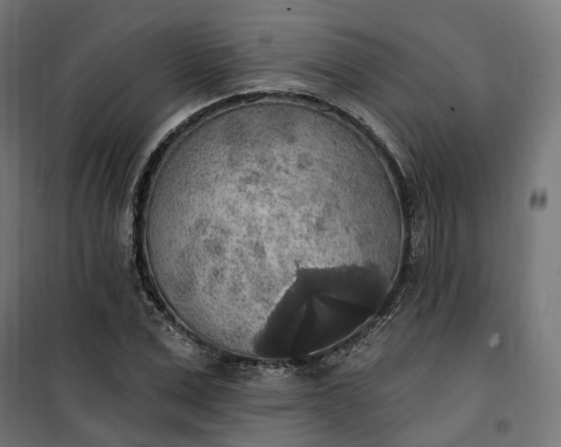 X0000100500975200806201711