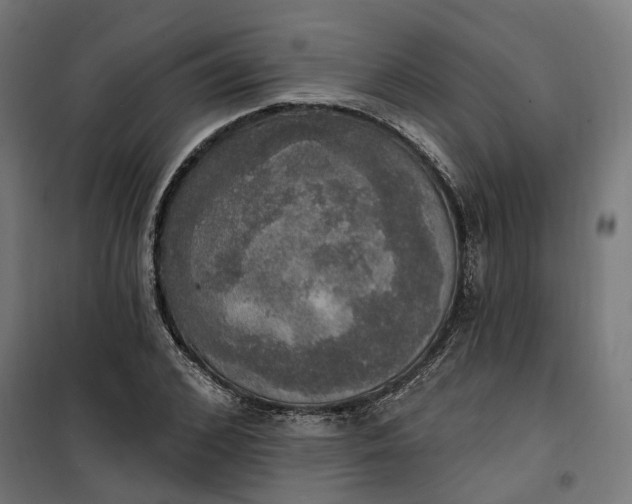 X0000100500976200806201711