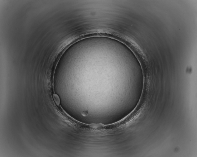 X0000100500977200806201711