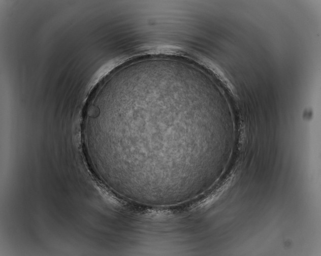 X0000100500978200806201711