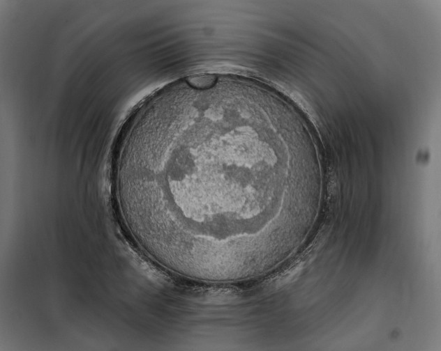 X0000100500979200806201711