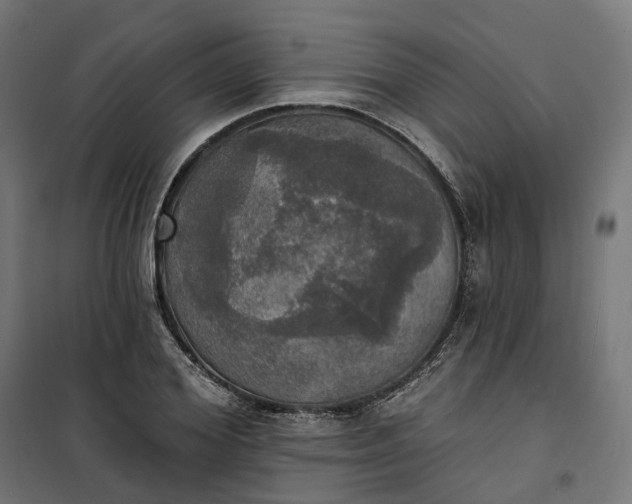 X0000100500980200806201711