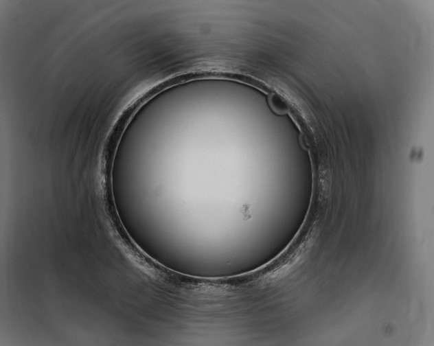 X0000100500981200806201711