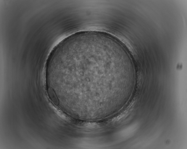 X0000100500982200806201711