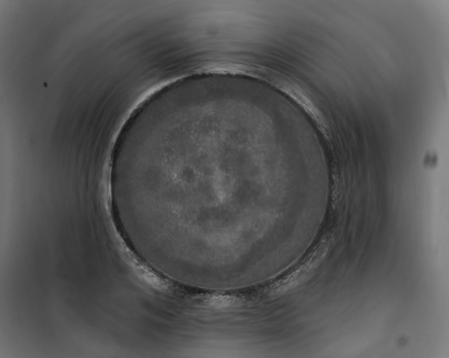 X0000100500984200806201711