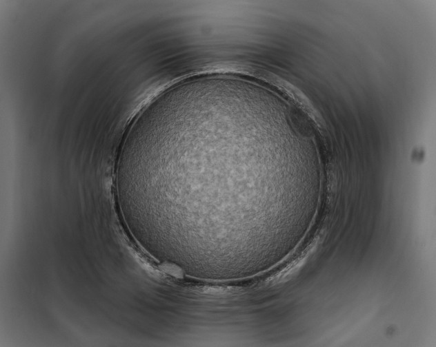 X0000100500985200806201711