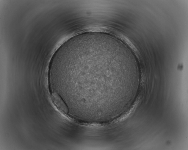 X0000100500986200806201711