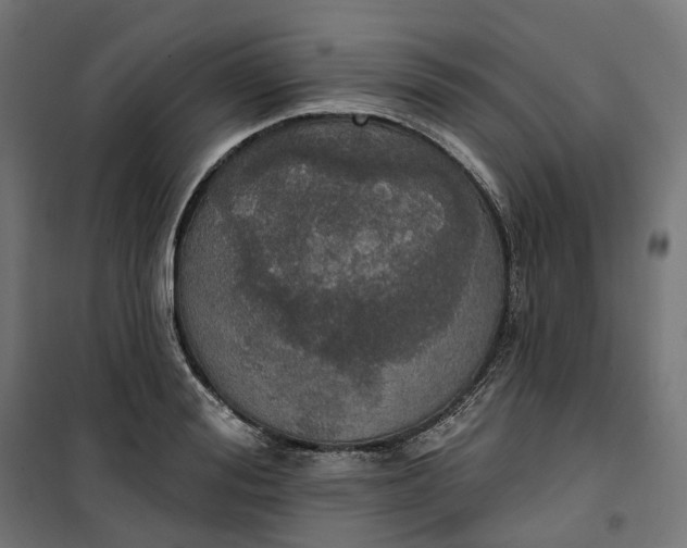 X0000100500988200806201711