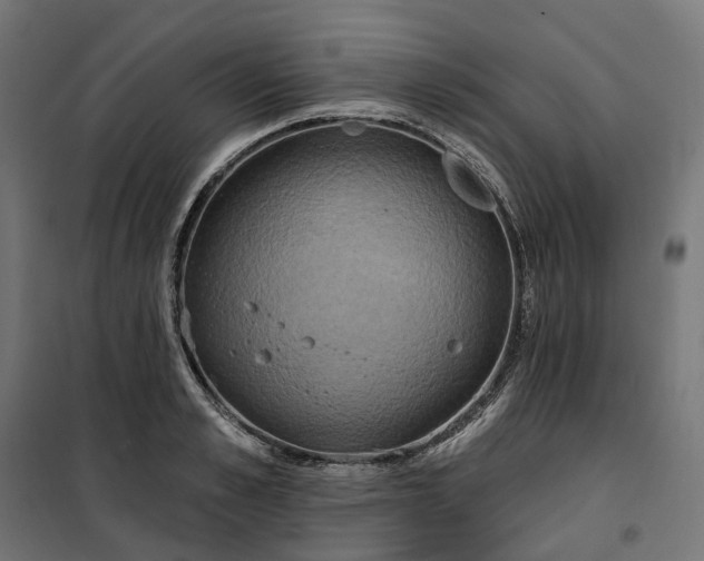 X0000100500989200806201711