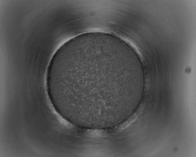 X0000100500991200806201711