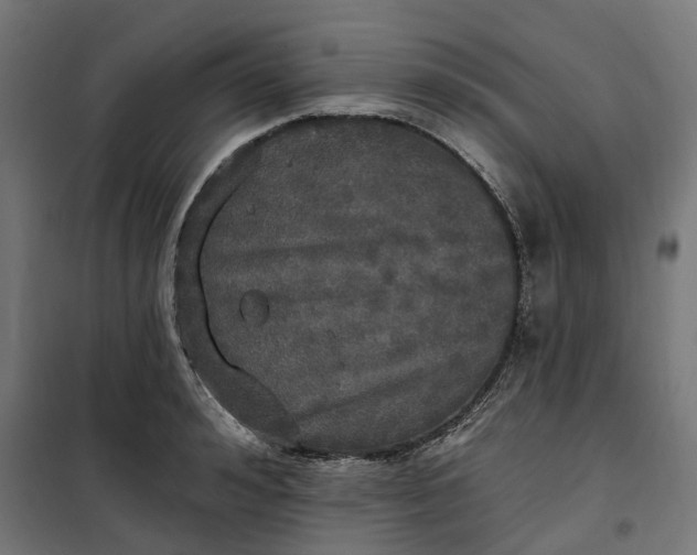 X0000100500992200806201711