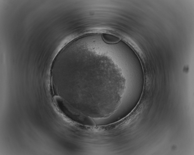 X0000100500994200806201711