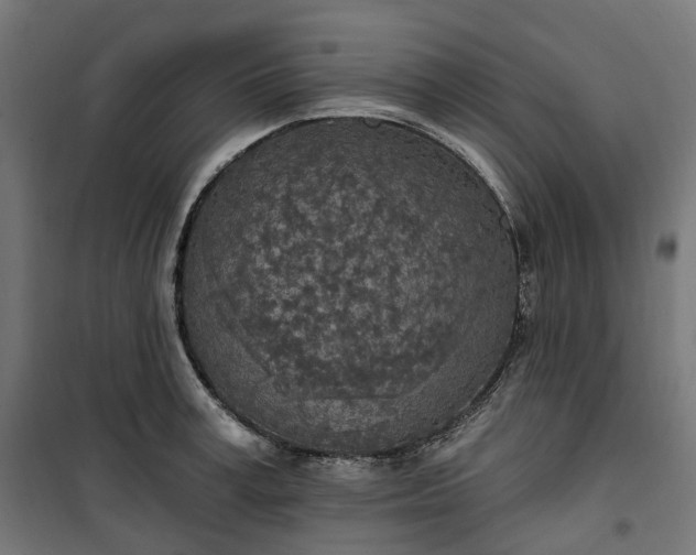 X0000100500995200806201711