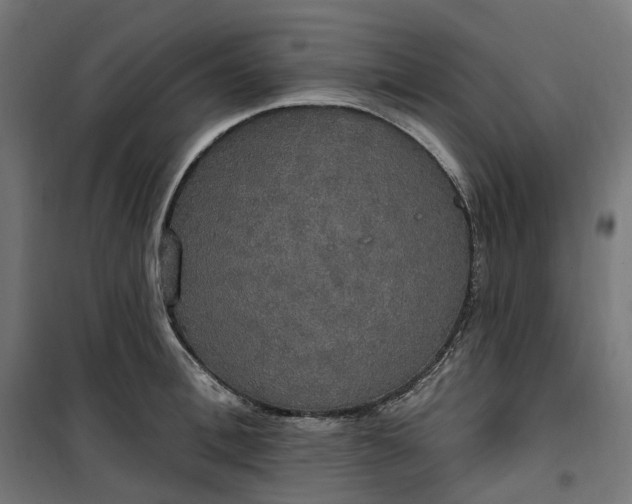 X0000100500996200806201711