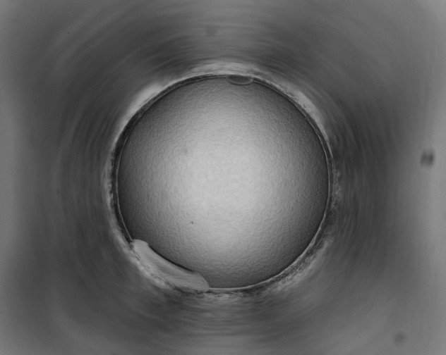 X0000100500997200806201711