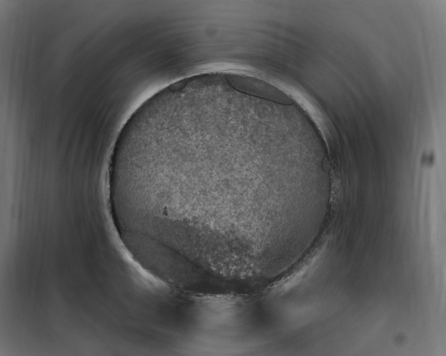 X0000100500999200806201711