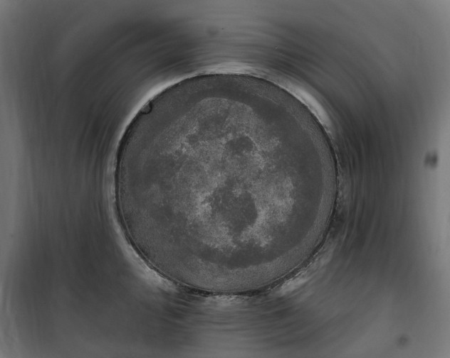 X0000100501000200806201711