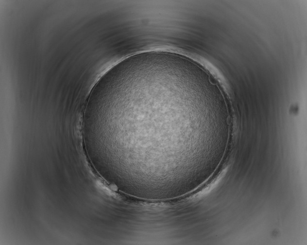 X0000100501001200806201711