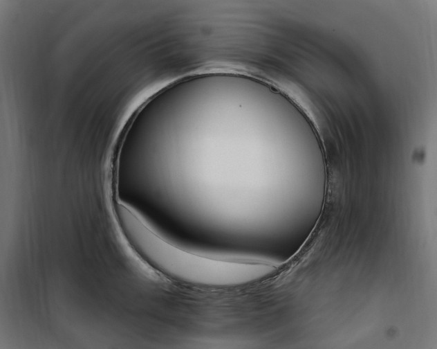 X0000100501003200806201711